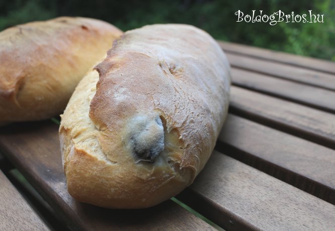 Olivabogyós kenyér